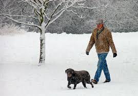 winterwalk