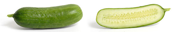 Cucumber-3