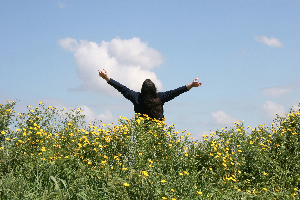 Freedom-2